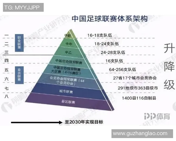 足球管理就业前景分析与职业发展路径探讨